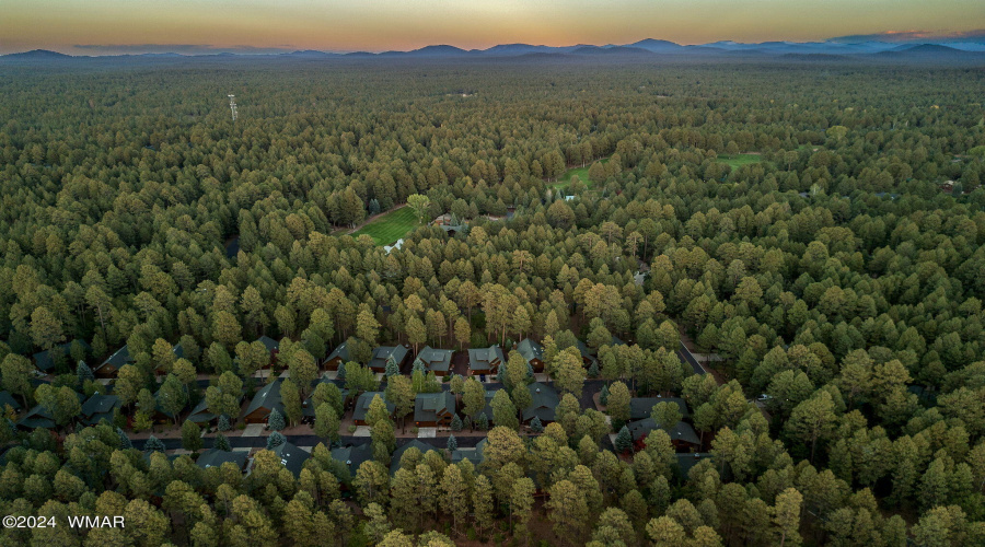 Aerial View of Community