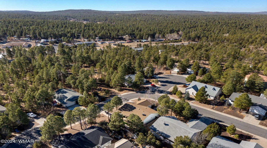 Aerial View of Community