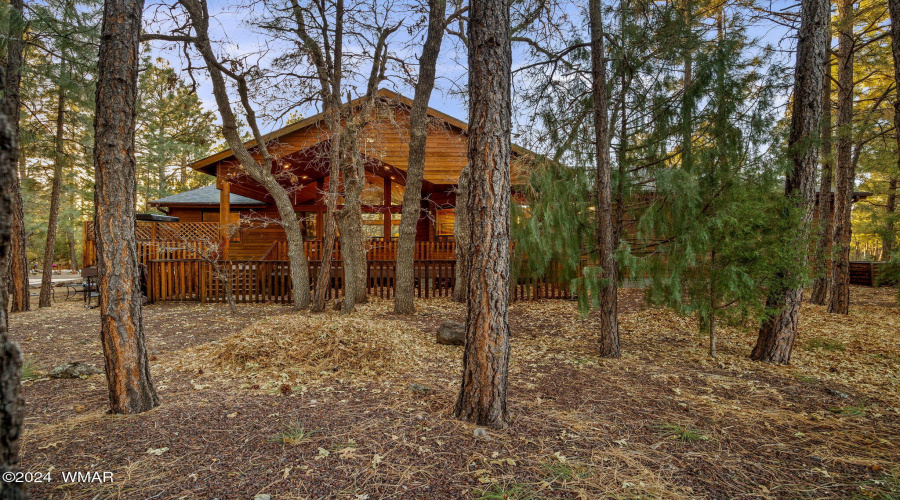 851PineCreekDr-Lakeside-AZ-12