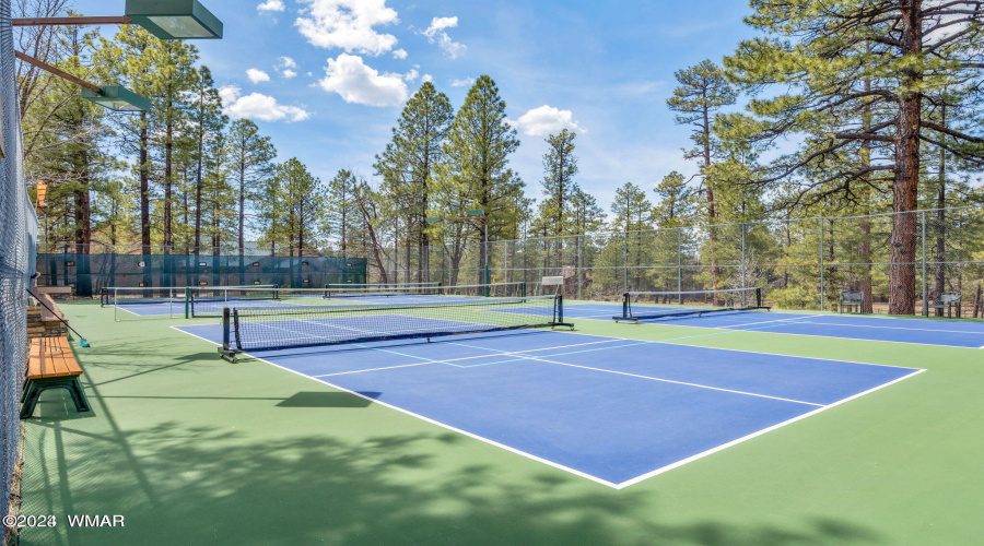 Pickle ball courts