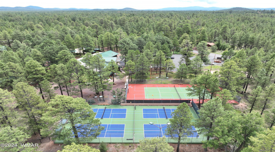 Pickleball and Tennis