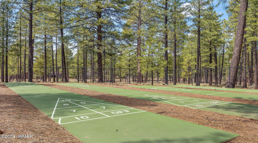 Shuffle board