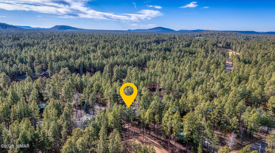 Aerial Pinetop CC Area