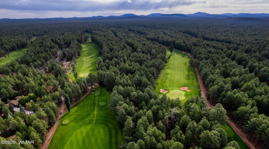 Pinetop CC Golf View