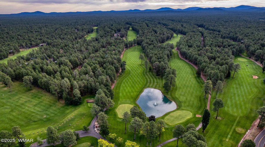 Pinetop CC Golf View3