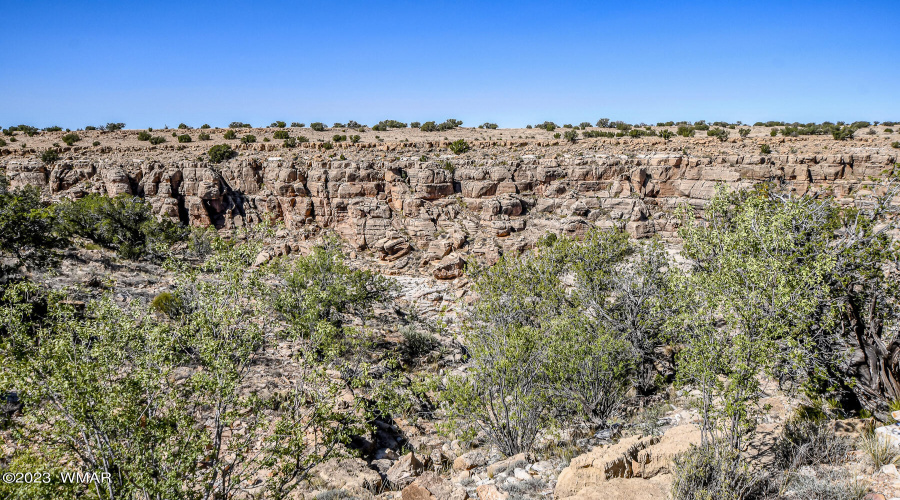 Canyon Views