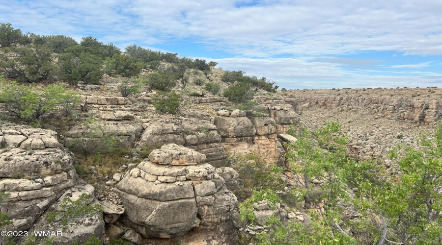 Canyon Views