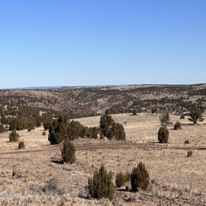 View to the north of the property