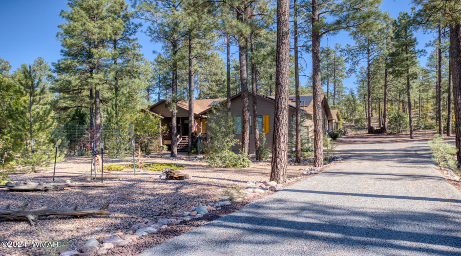 Forest Cabin, Peaceful Heart