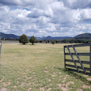 Elk Ridge Gate to 16.25 Acres