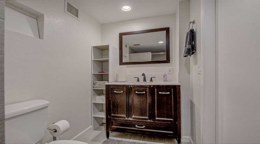 Master Bath Downstairs