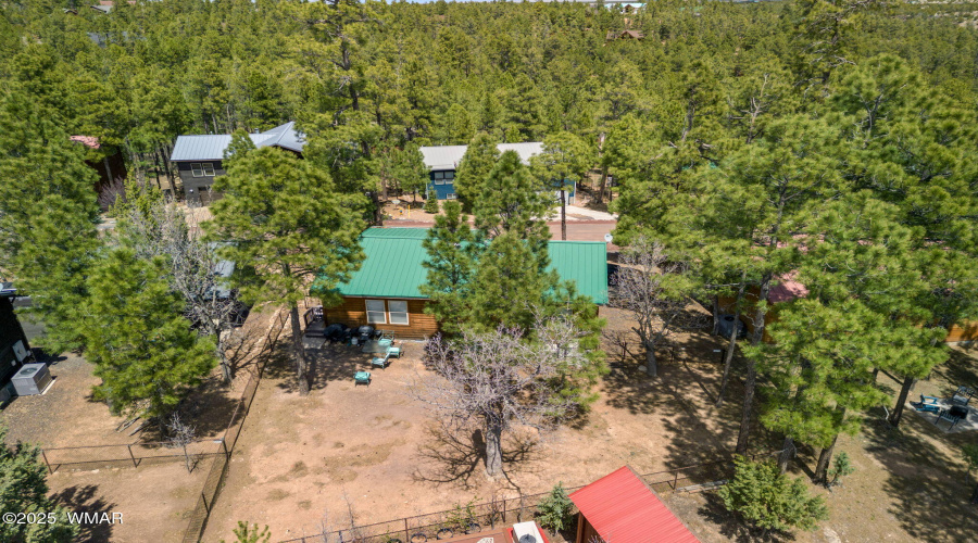 Aerial View of Backyard