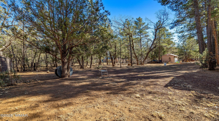 2244 Oakwood Drive, Lakeside, AZ