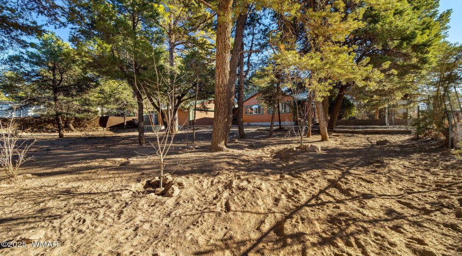 3317RimLakesDr-HeberOvergaard-AZ-25