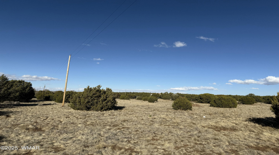 Electricity Poles