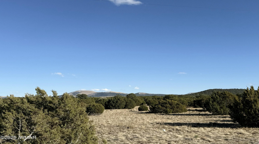 Mountain View in background