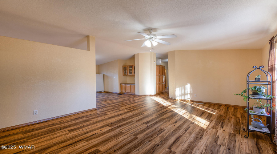 Entry way/Living room