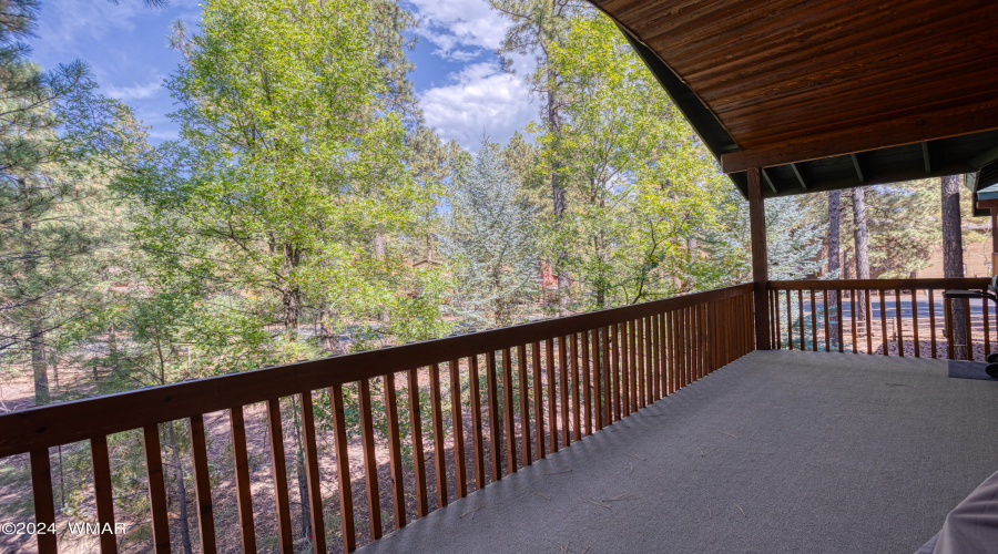 Exterior Back Porch