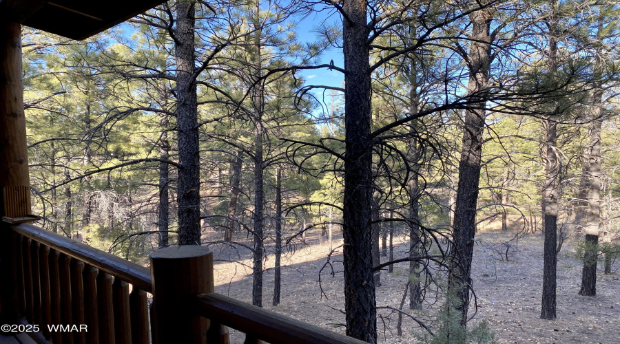 View from Back Deck