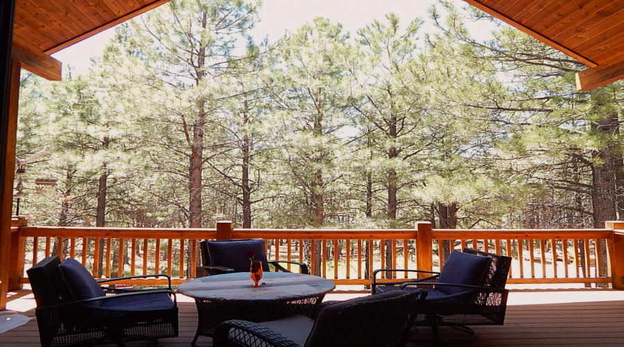 Deck out Back 2