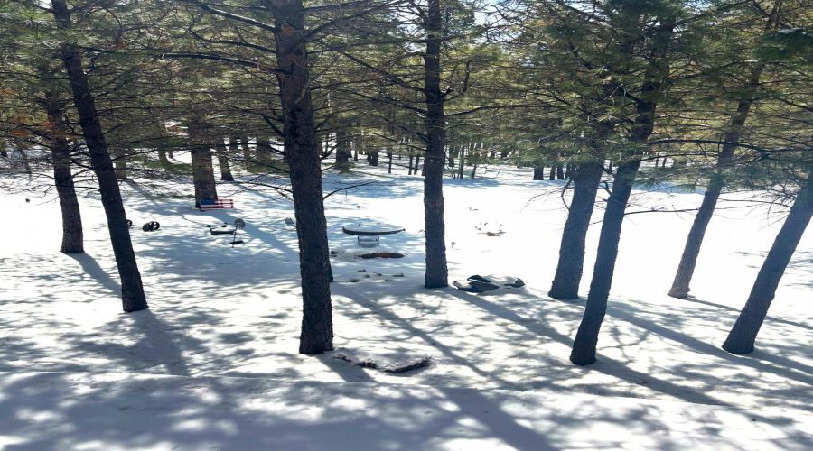 Spring Snow Pic 1