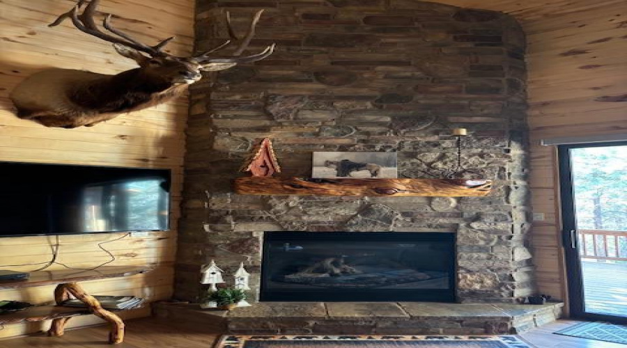 Main Level Fireplace