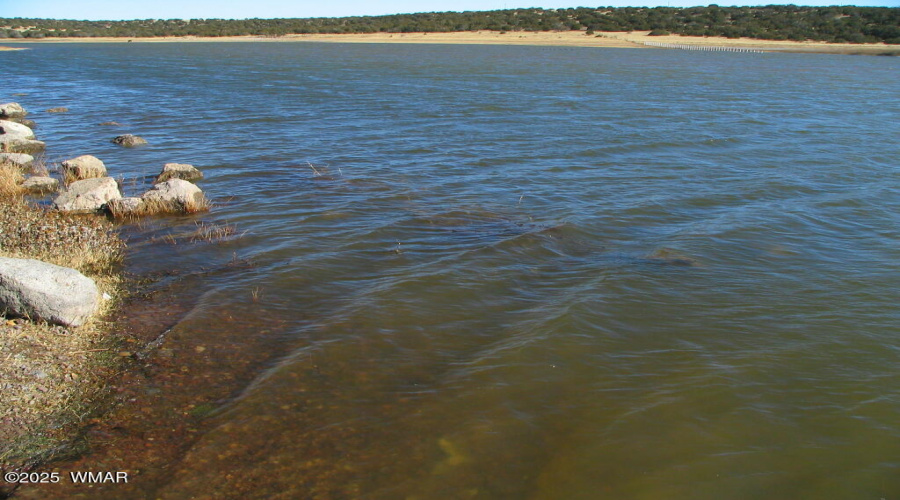 Concho Lake Shoreline