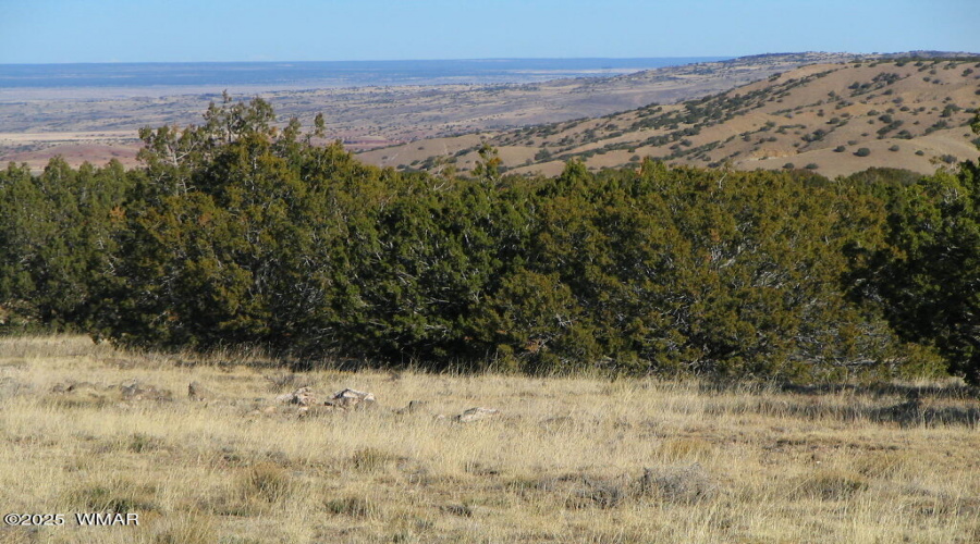 view from the property road