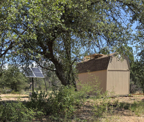 5 Acres Well, Oak Trees