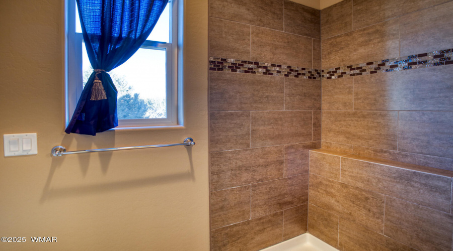 Master Walk-In Shower