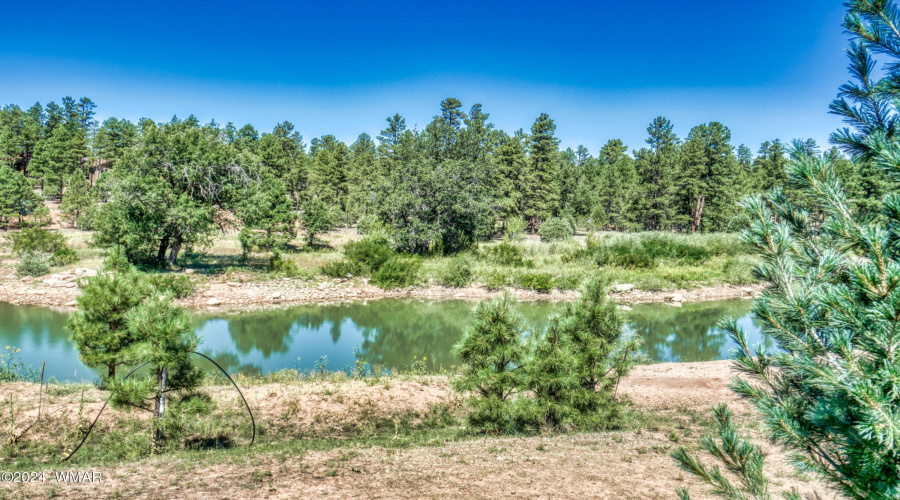 Torreon Lakes