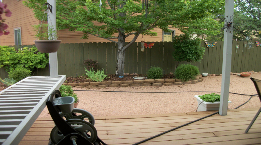 Back Yard Area