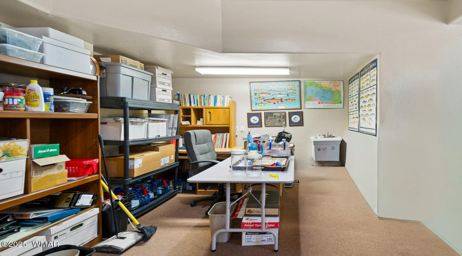 BASEMENT/FLEX ROM