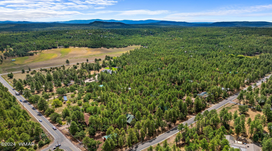 1683SHartLakeLn-Pinetop-AZ-31