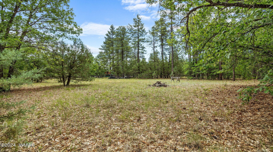 1683SHartLakeLn-Pinetop-AZ-28