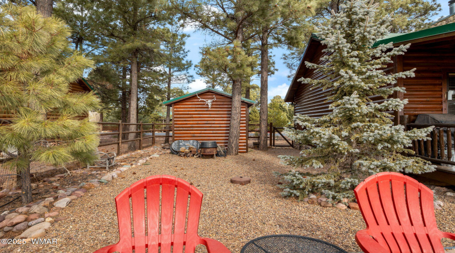 NICE SIZE YARD WITH A 12 X 12 SHED