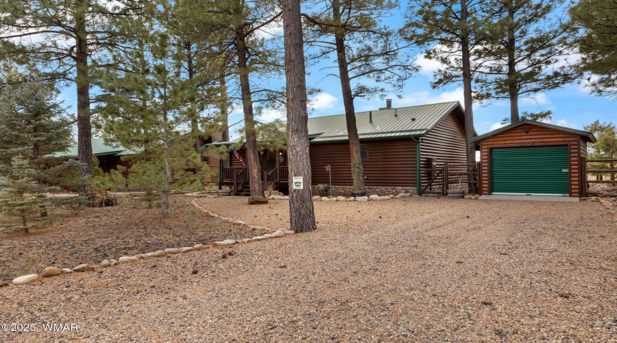 CABIN WITH A SHED!