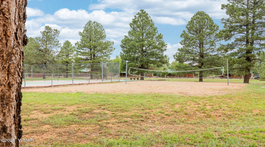 COMMUNITY SPORT COURTS