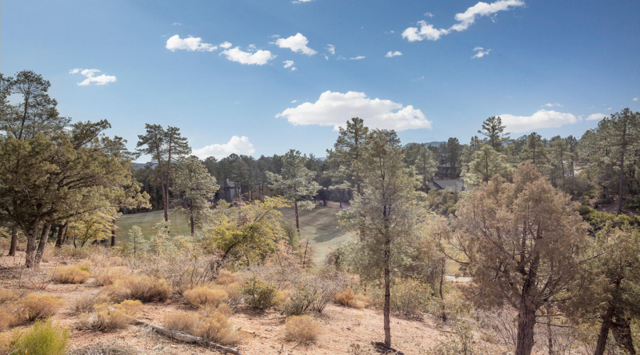 View of Golf Course