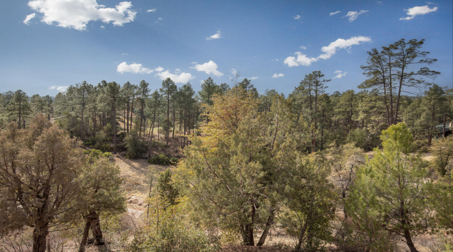 Views off Back Deck