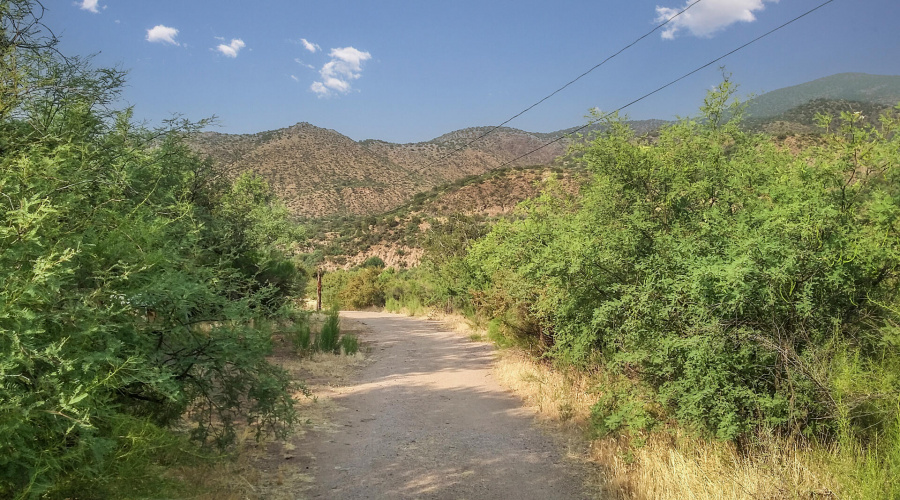 Landscape Driveway