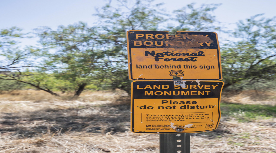 National Forest Sign 1