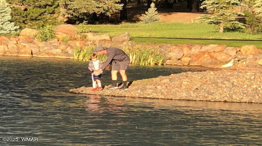 Fishing In The White Mountains