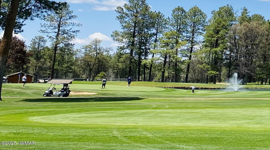 Golf In The White Mountains