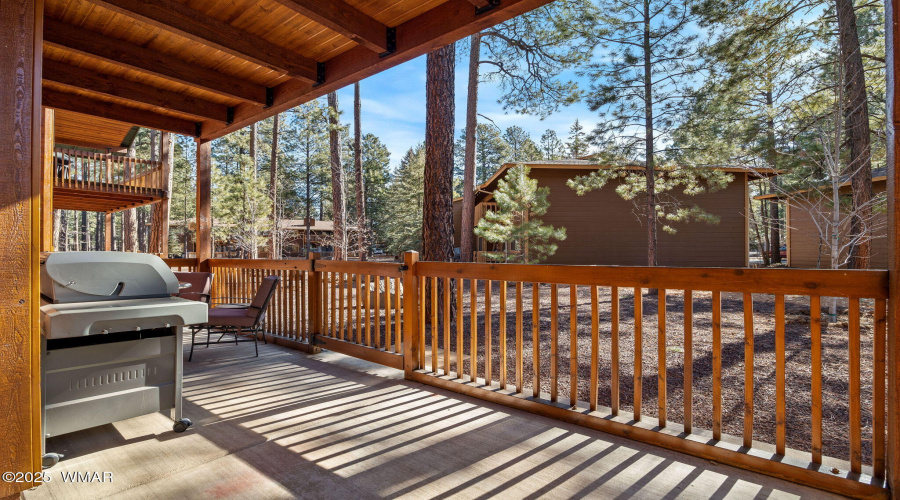 Covered Back Deck