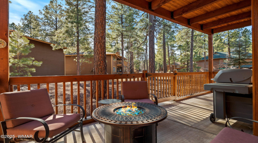 Back Deck in the Trees