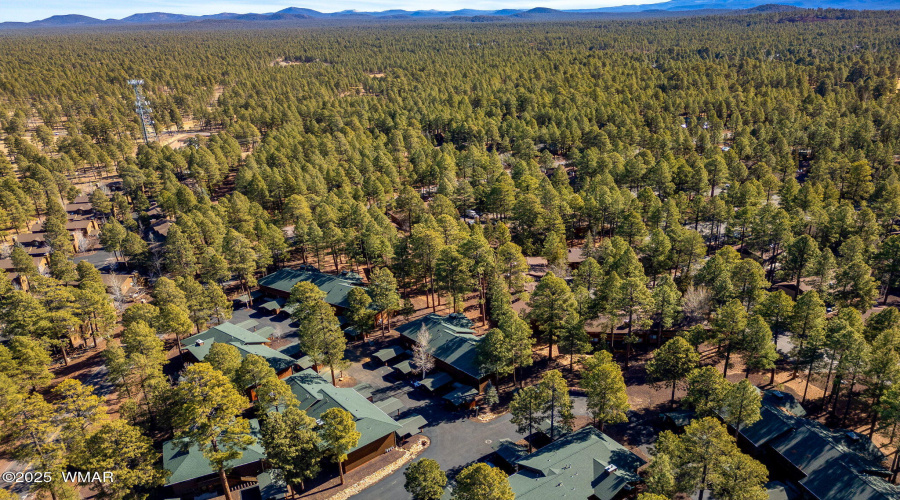 Aerial View of Community