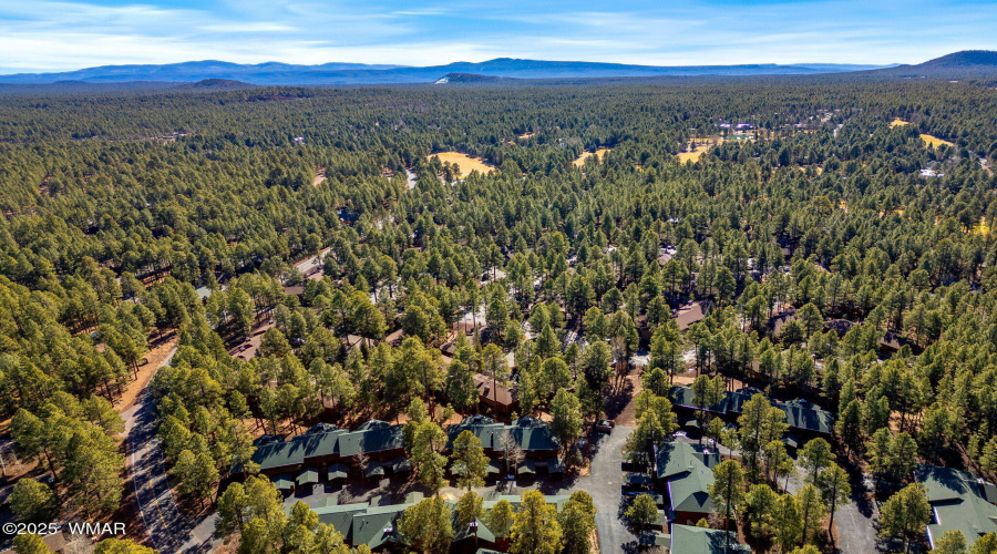 Aerial View of Community