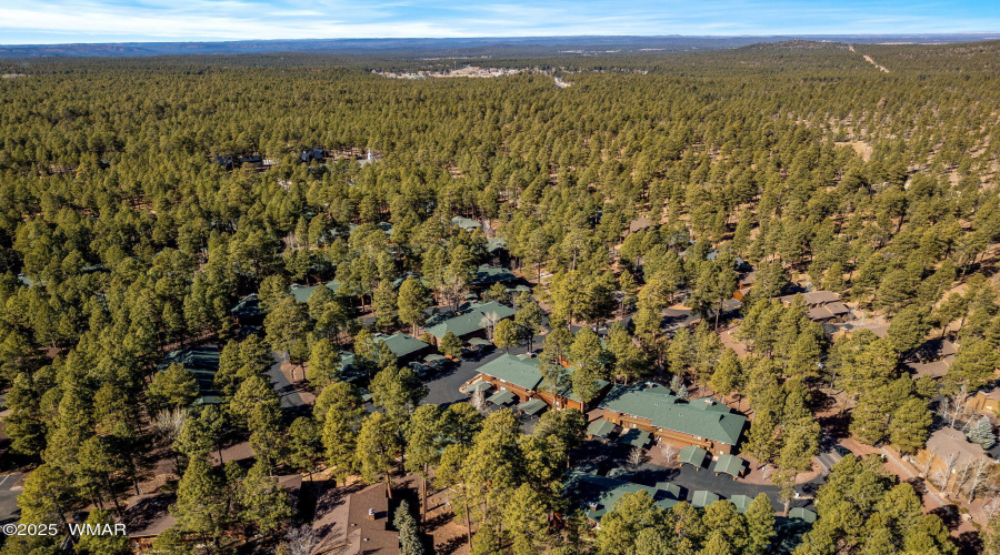 Aerial View of Community