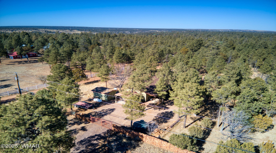 1 Full Acre in the Pines